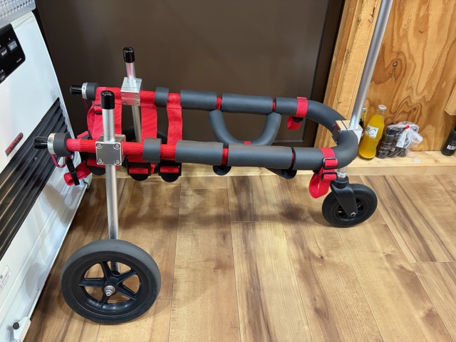 北海道のビーグル　海（かい）くんの車椅子