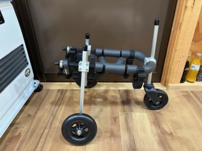 東京都のトイプードル　テディちゃんの車椅子