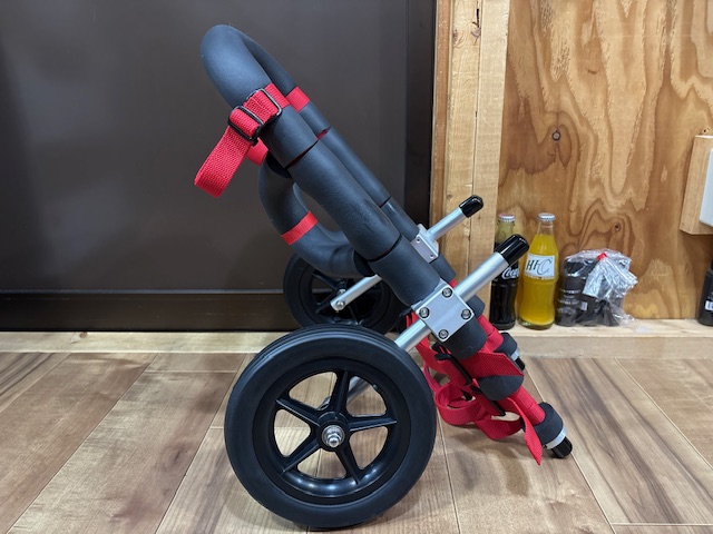 東京都のコーギー　エマちゃんの車椅子