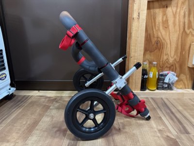 東京都のコーギー　ゾンビーちゃんの車椅子