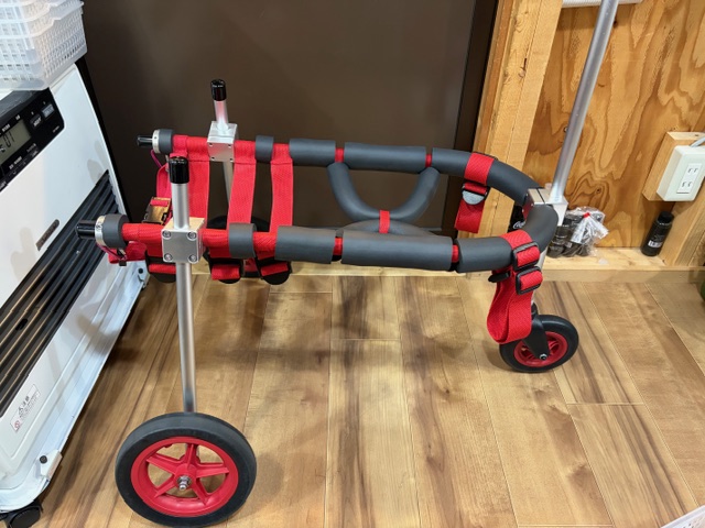 千葉県の中型犬　幸太郎ちゃんの車椅子