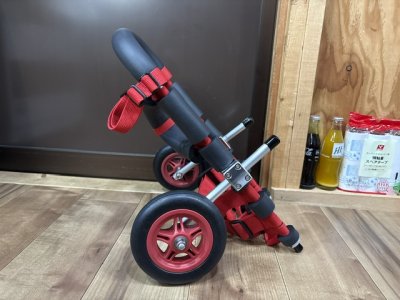 愛知県のダックス×シーズー　クンクンちゃんの車椅子