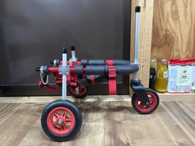 大阪府のトイプードル　キャンディちゃんの車椅子