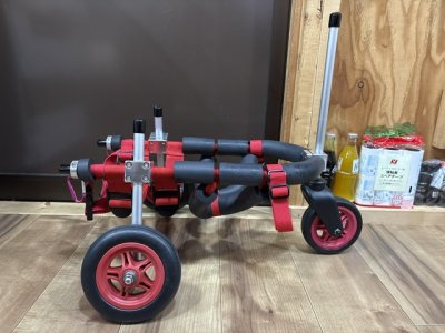 大阪府のミニチュアダックスフンド　小梅ちゃんの車椅子