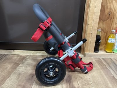 岐阜県のミニチュアダックスフンド　波ちゃんの車椅子