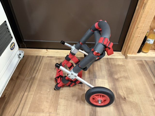 埼玉県の小型犬　カルーちゃんの車椅子