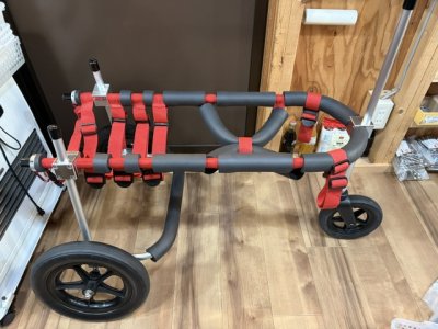 静岡県の大型犬　ヤックルちゃんの車椅子